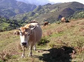 Hotel Rural Arniciu 2*